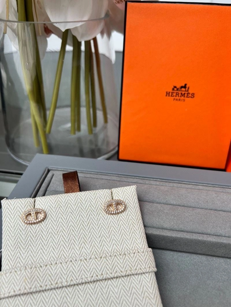 Sophisticated Hermes Earrings 247179