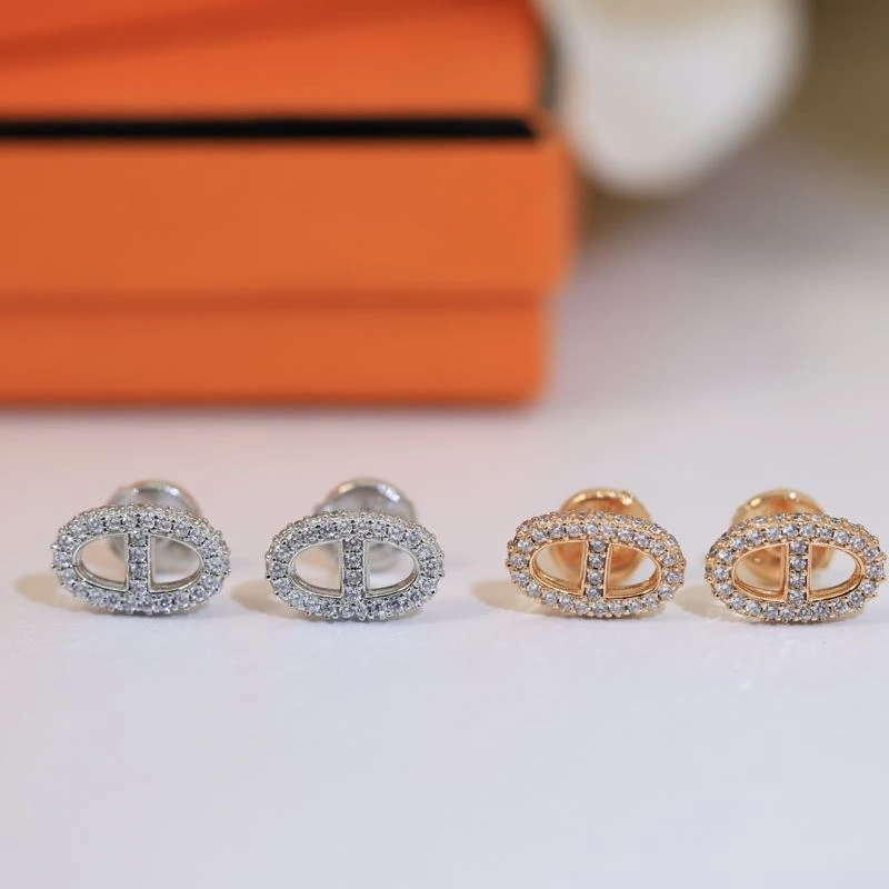 Hermes Earrings DailyWear 247181