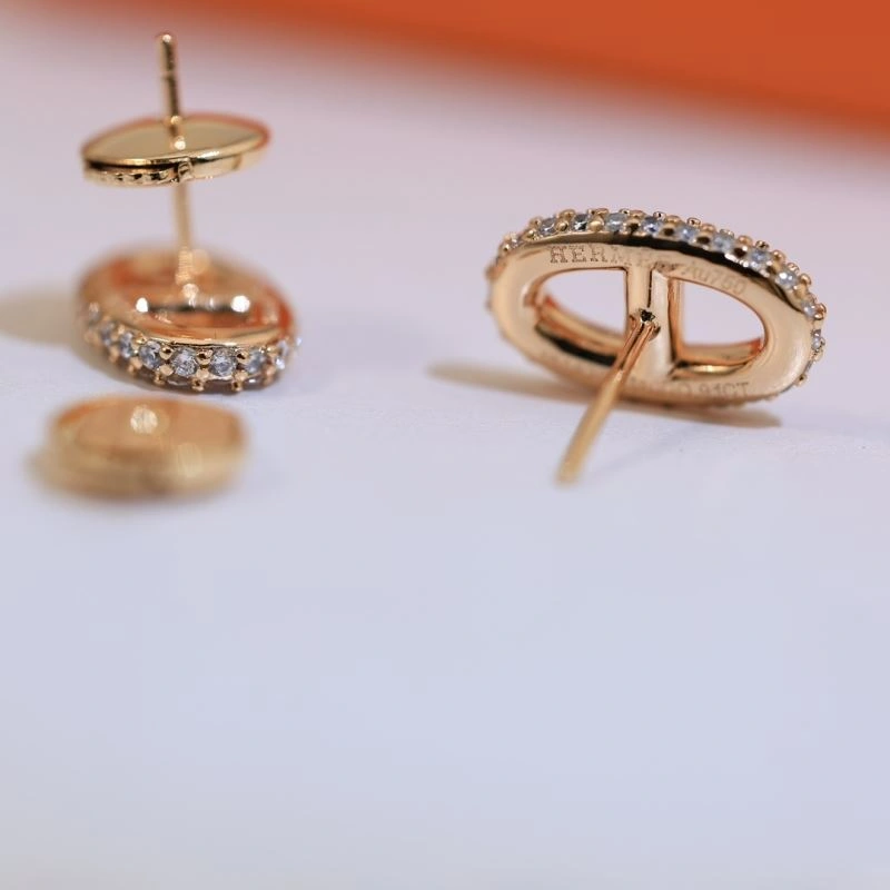 Hermes Earrings DailyWear 247181