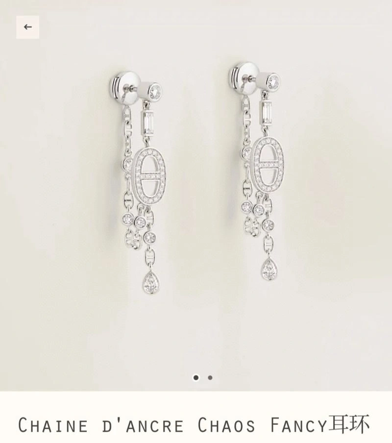 Hermes Earrings Functional 247147