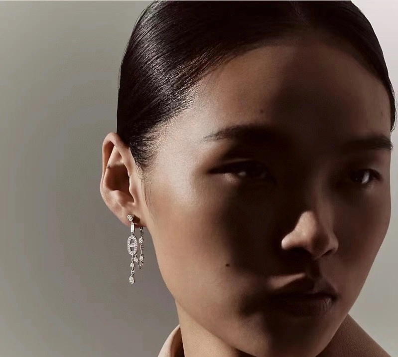 Hermes Earrings Functional 247147