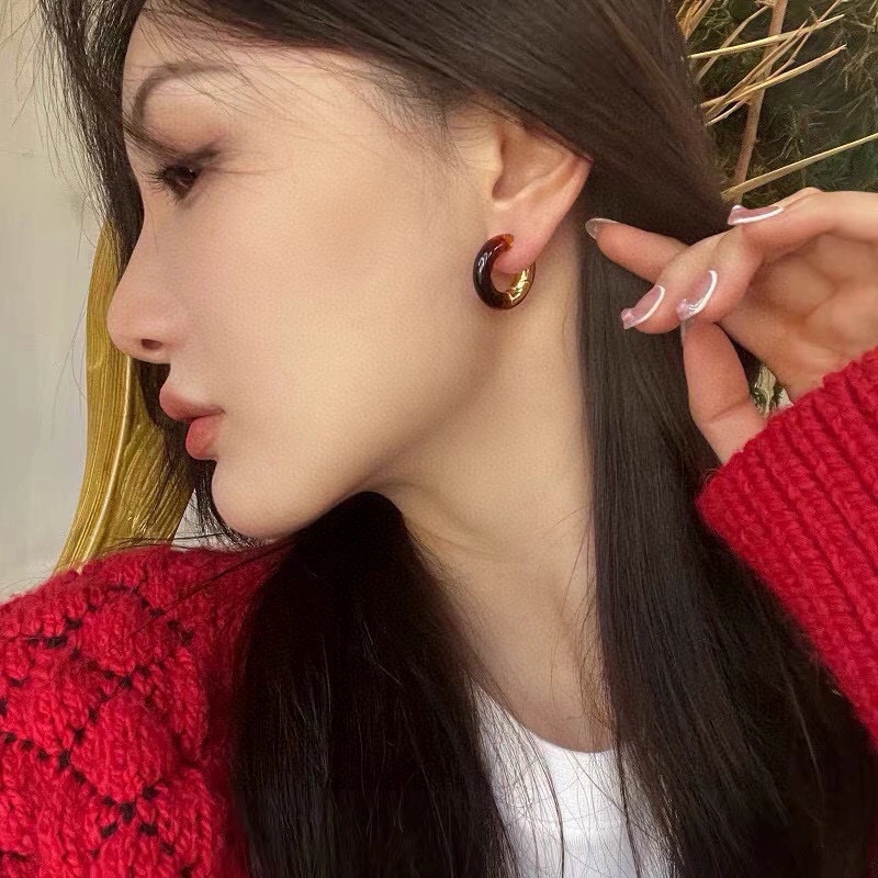 AllSeason Hermes Earrings 247158