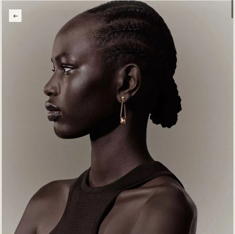 MoistureWicking Hermes Earrings 247155