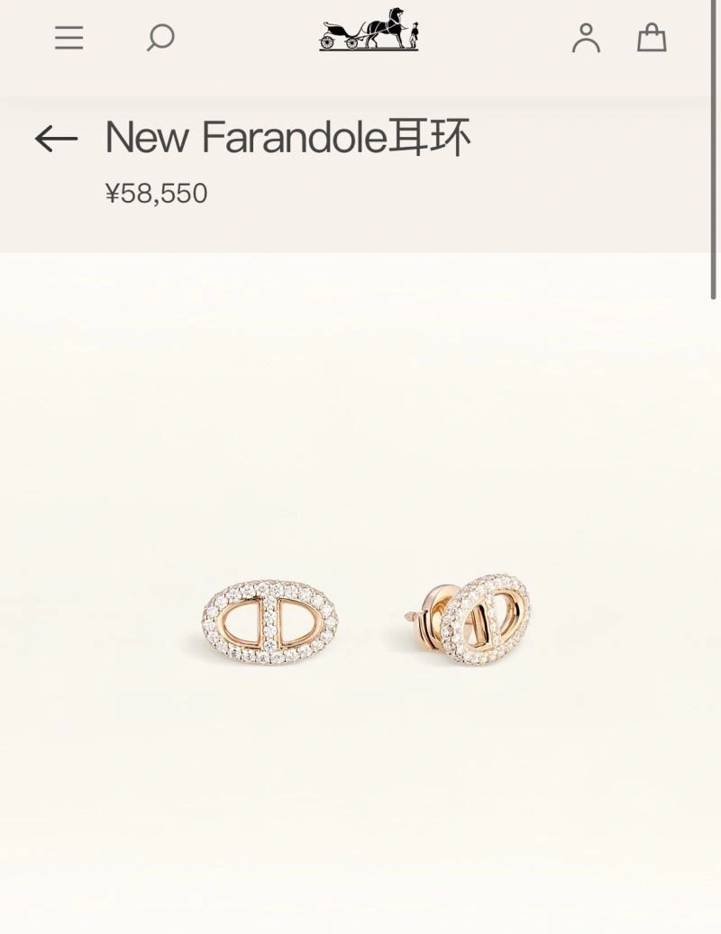 SmartChoice Hermes Earrings 247079