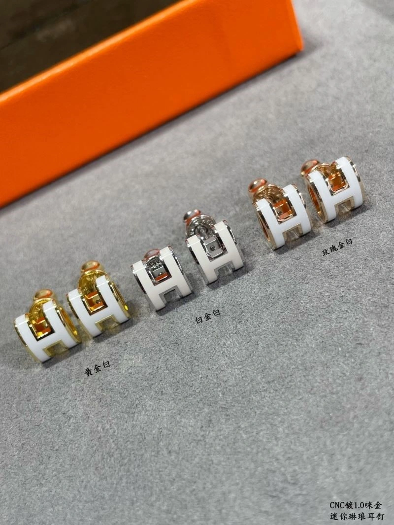 Sophisticated Hermes Earrings 247064