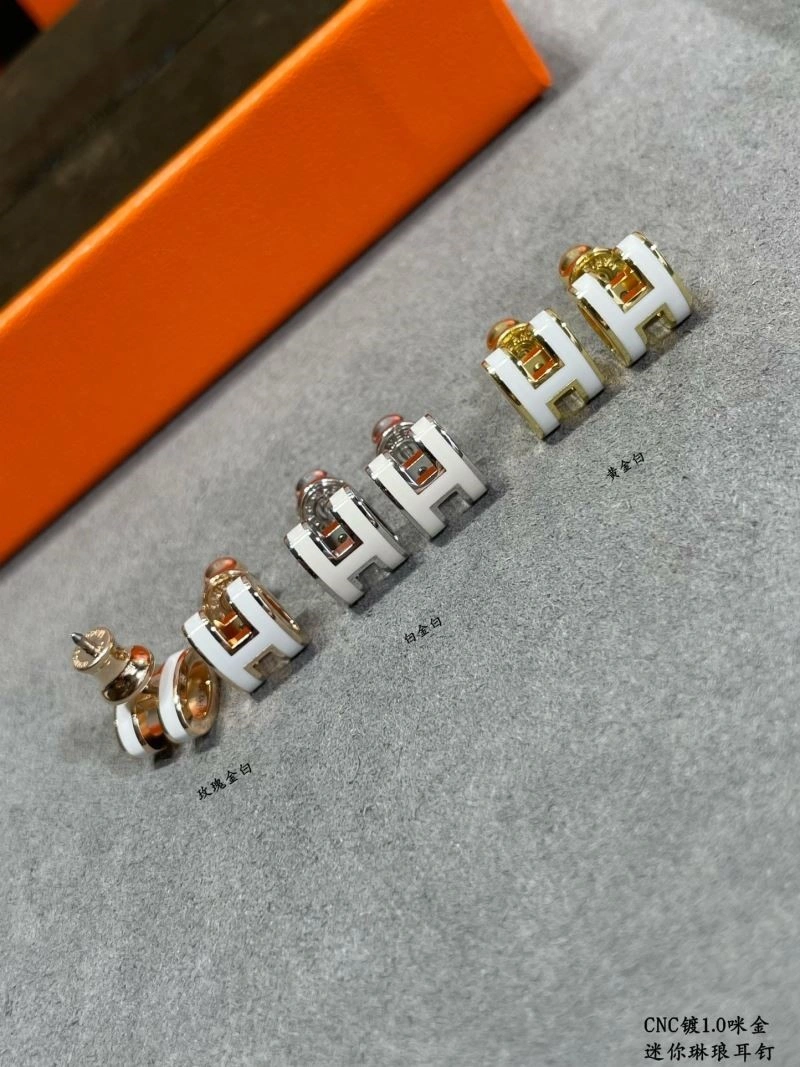 Sophisticated Hermes Earrings 247064