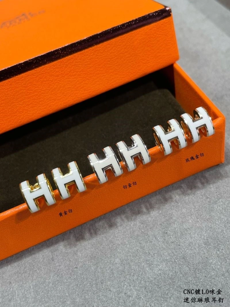 Sophisticated Hermes Earrings 247064