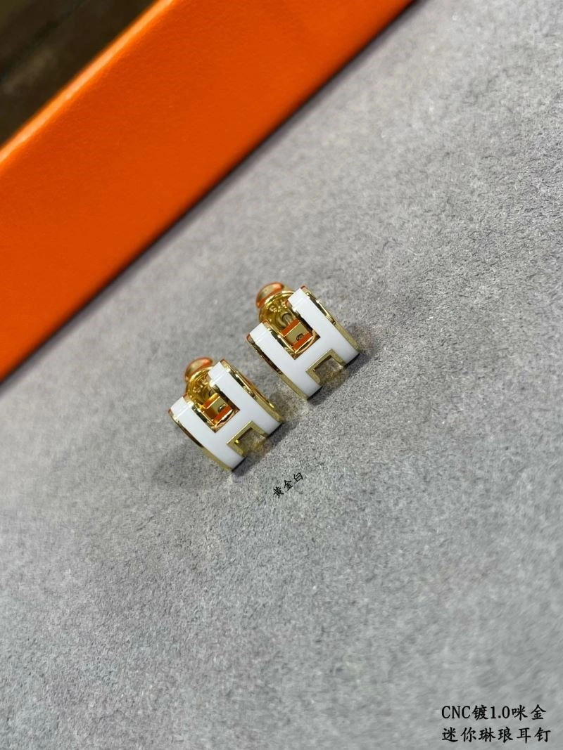 Sophisticated Hermes Earrings 247064