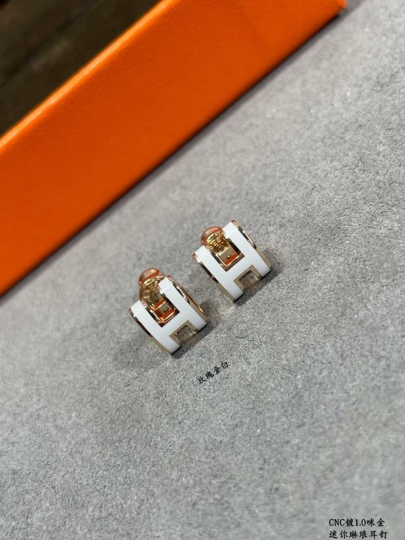 Sophisticated Hermes Earrings 247064