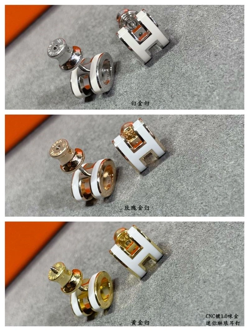 Sophisticated Hermes Earrings 247064