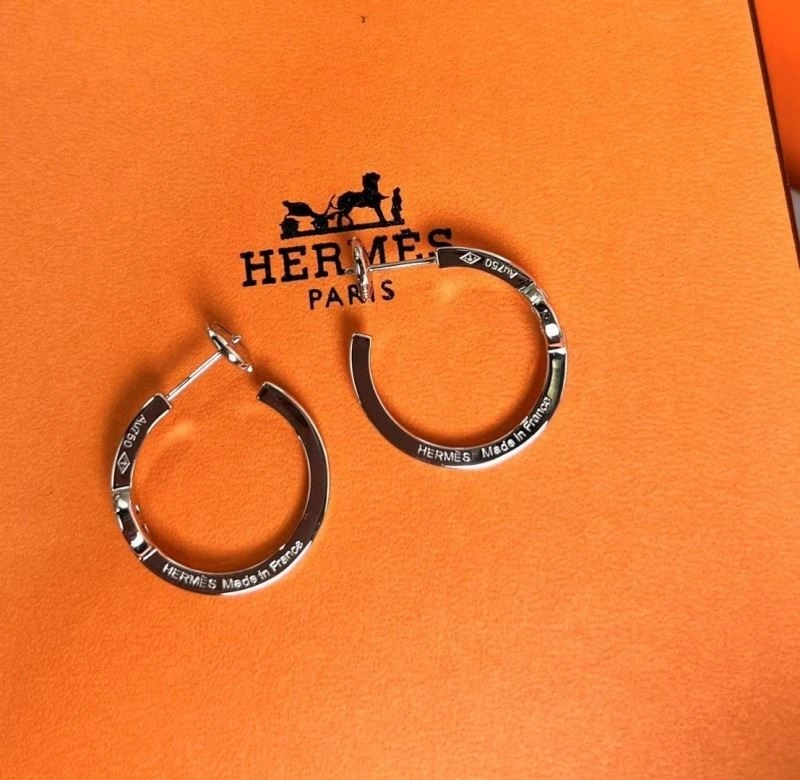 Hermes Earrings Seasonal 247055