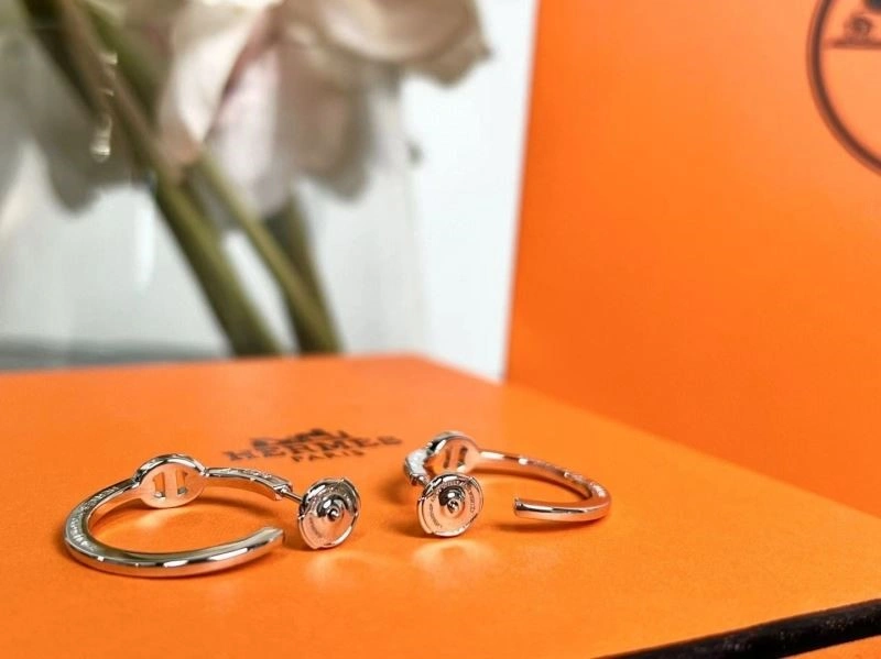 Hermes Earrings Seasonal 247055