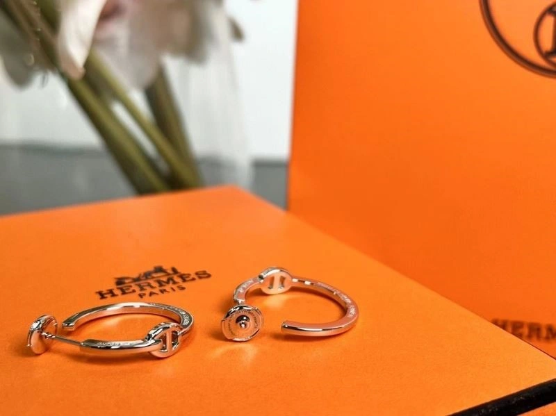 Hermes Earrings Seasonal 247055