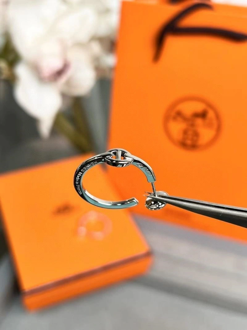 Hermes Earrings Seasonal 247055
