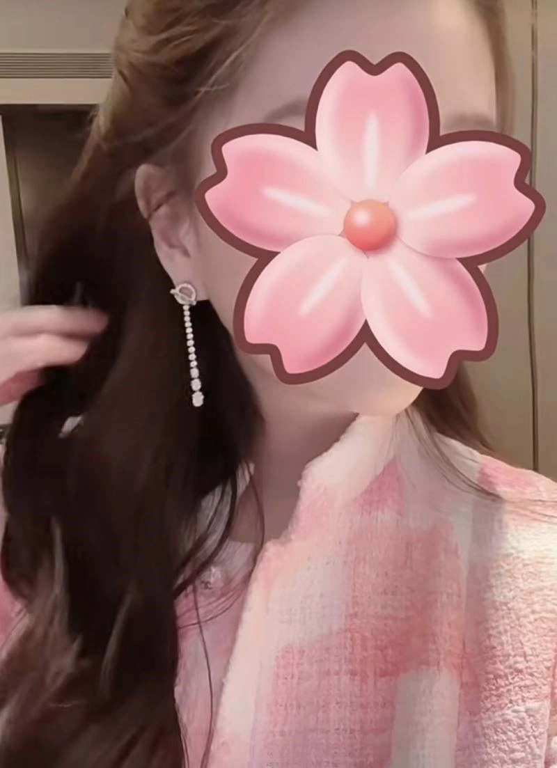 QuickDry Hermes Earrings 247073