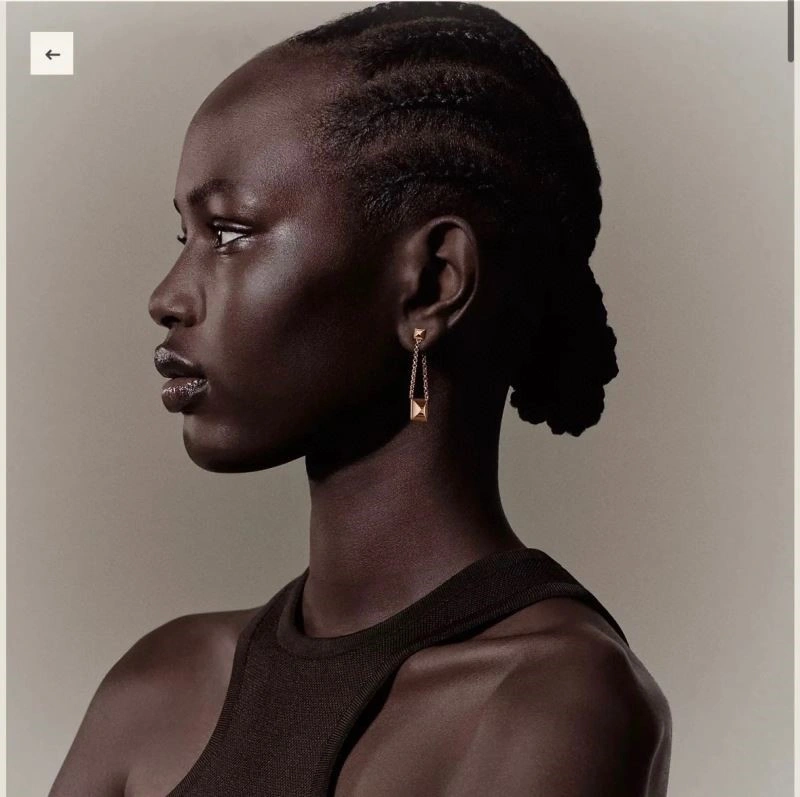 Practical Hermes Earrings 246978