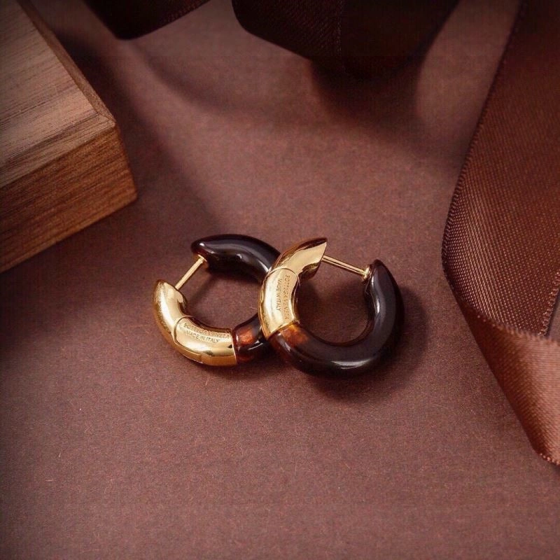 WaterResistant Hermes Earrings 246969