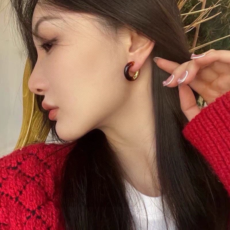 WaterResistant Hermes Earrings 246969