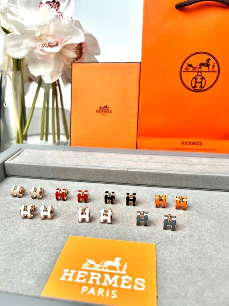Hermes Earrings Unique 246940