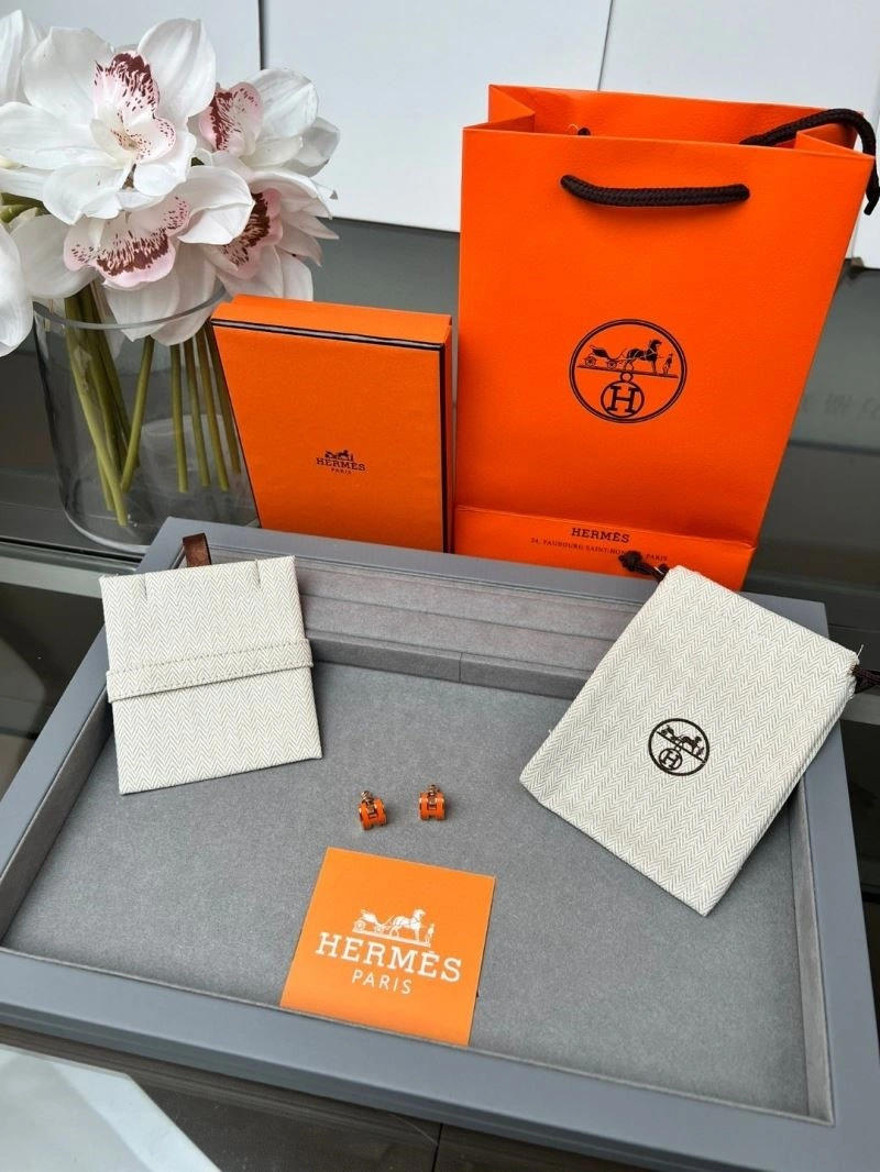 SportInspired Hermes Earrings 246919