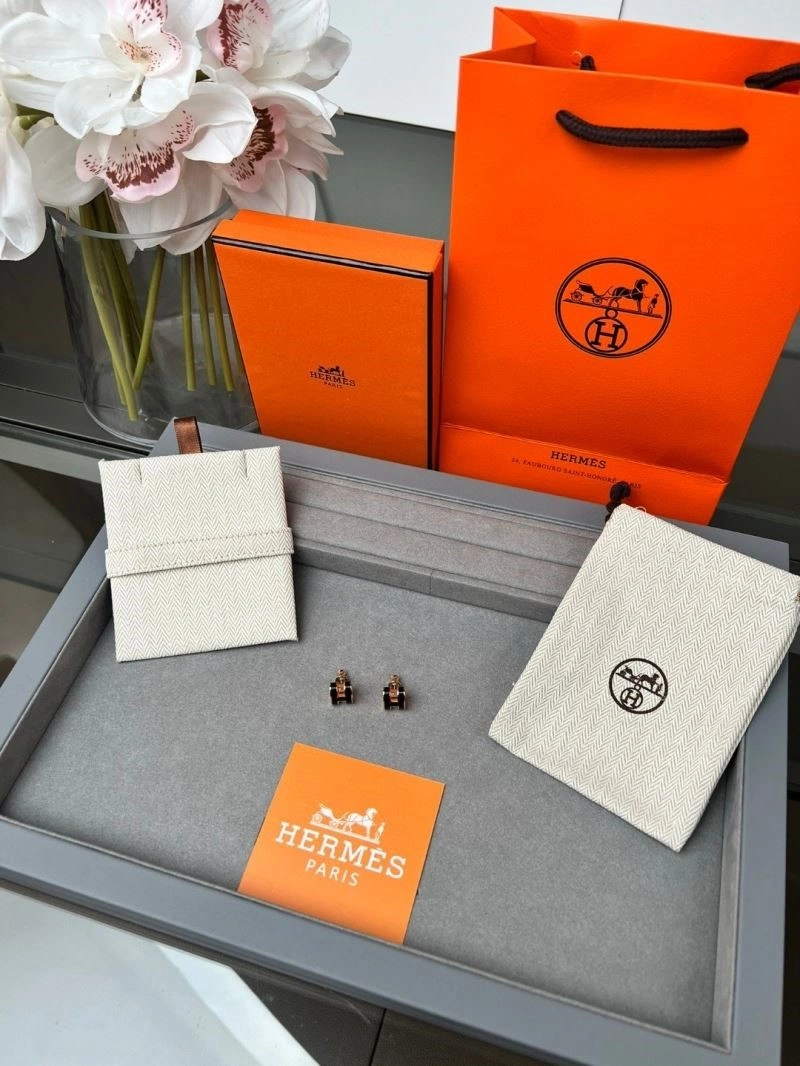 Cozy Hermes Earrings 246930