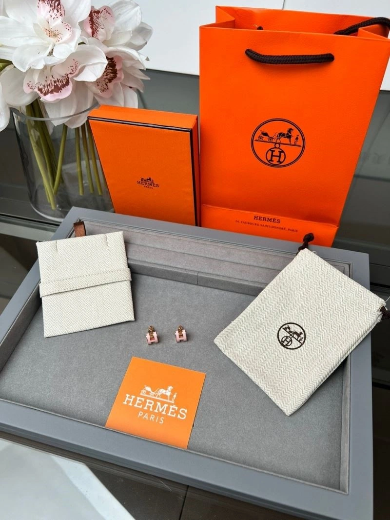 Original Hermes Earrings 246924