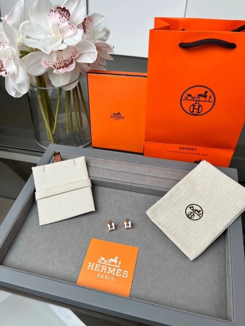 Hermes Earrings TopPick 246920