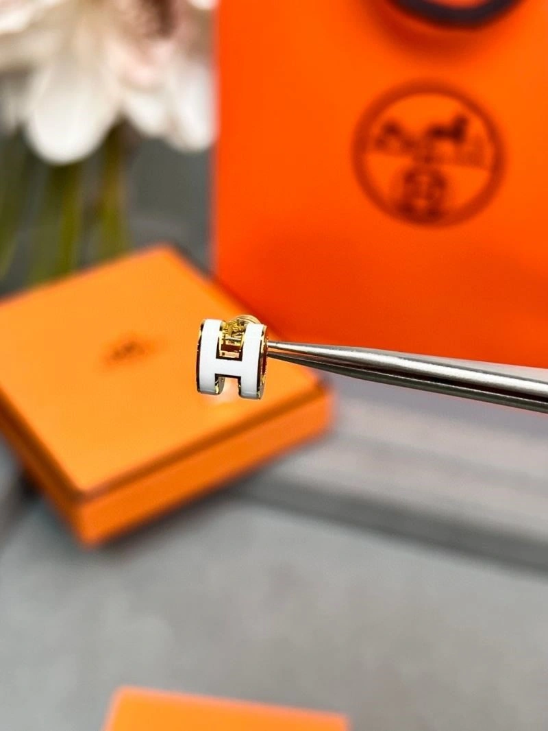 Youthful Hermes Earrings 246933