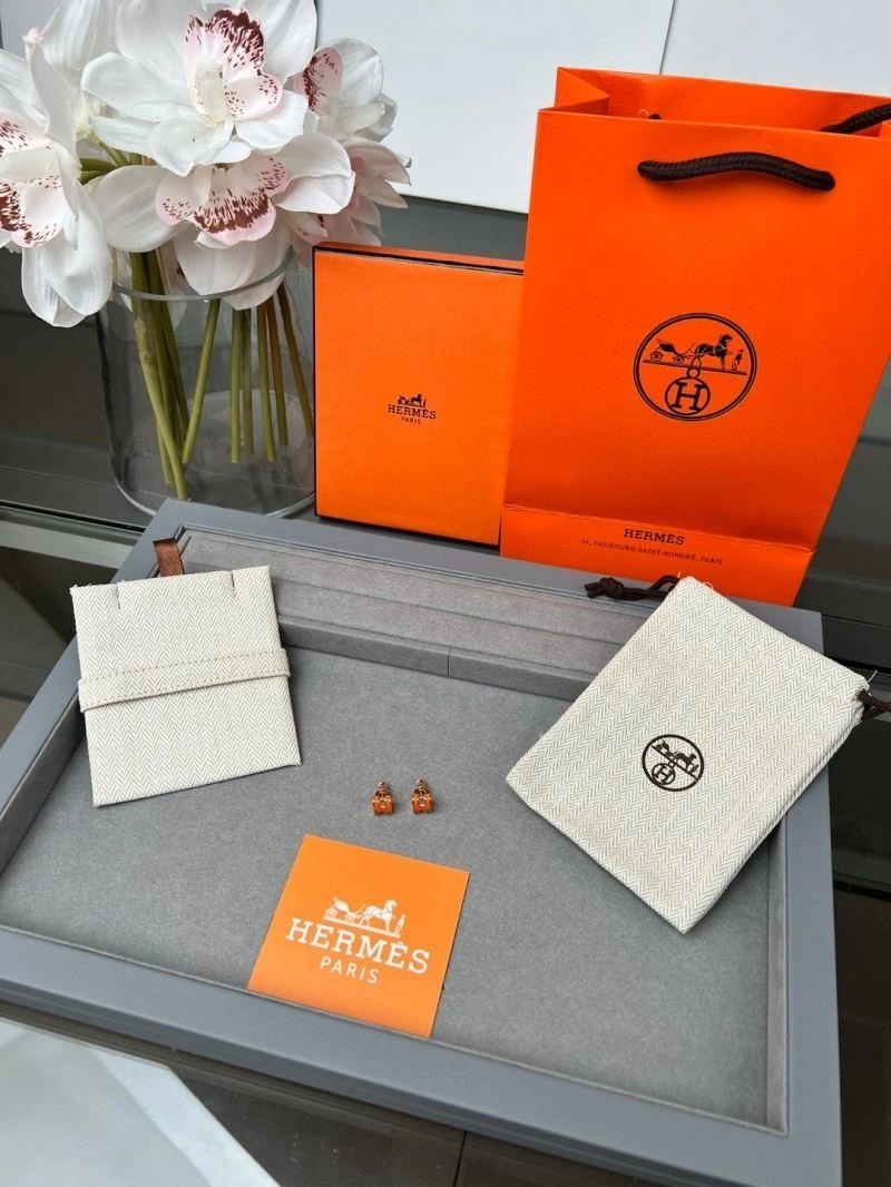 Hermes Earrings Comfortable 246925