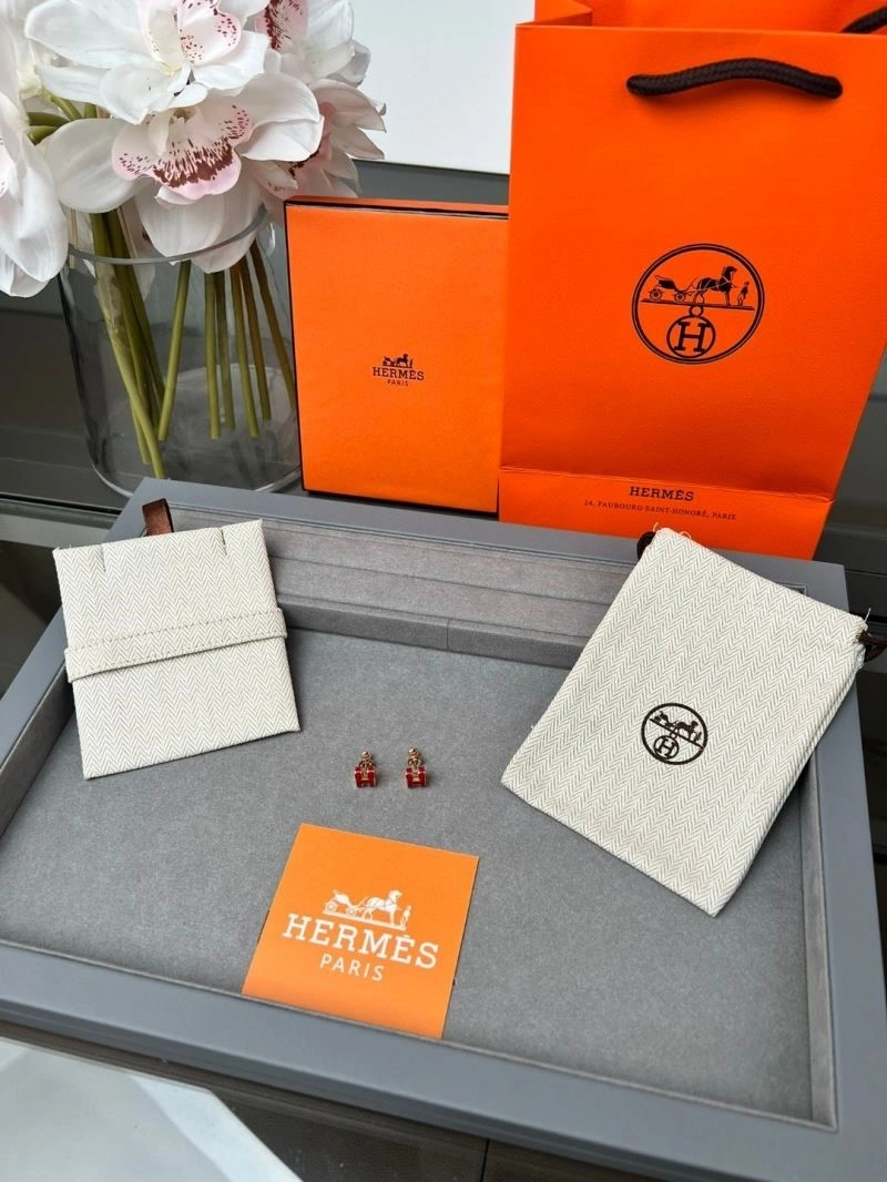 Hermes Earrings Stylish 246913