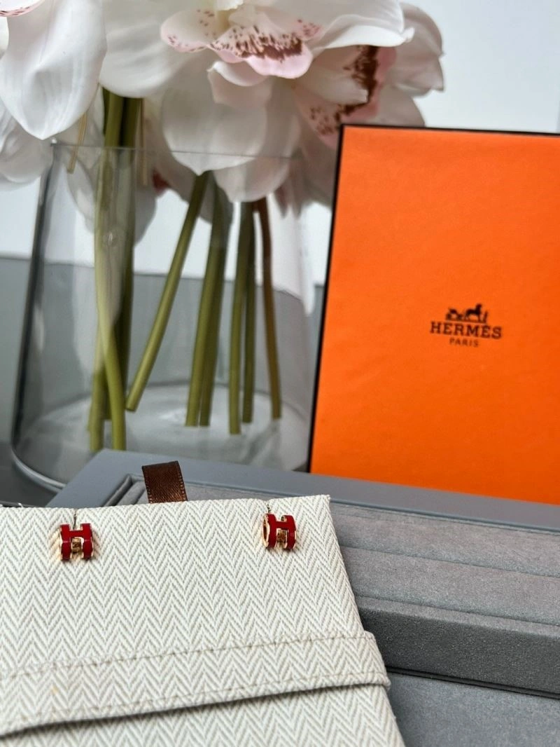 Hermes Earrings Stylish 246913