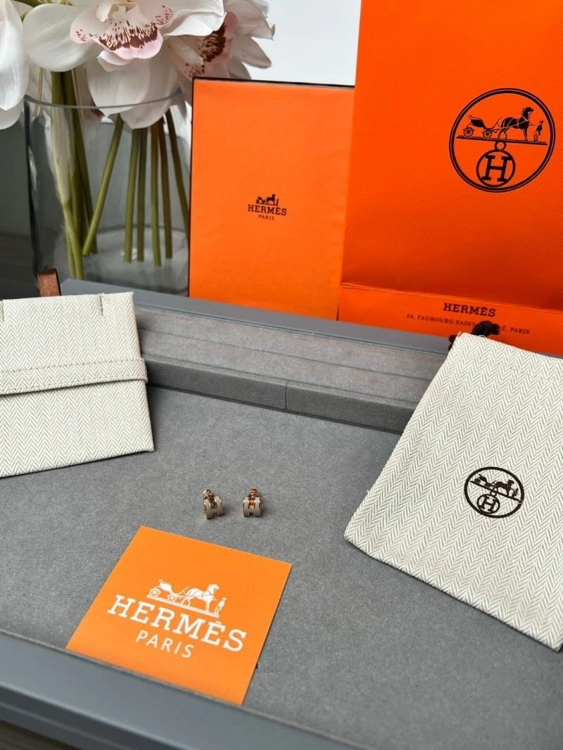 SunProtective Hermes Earrings 246915