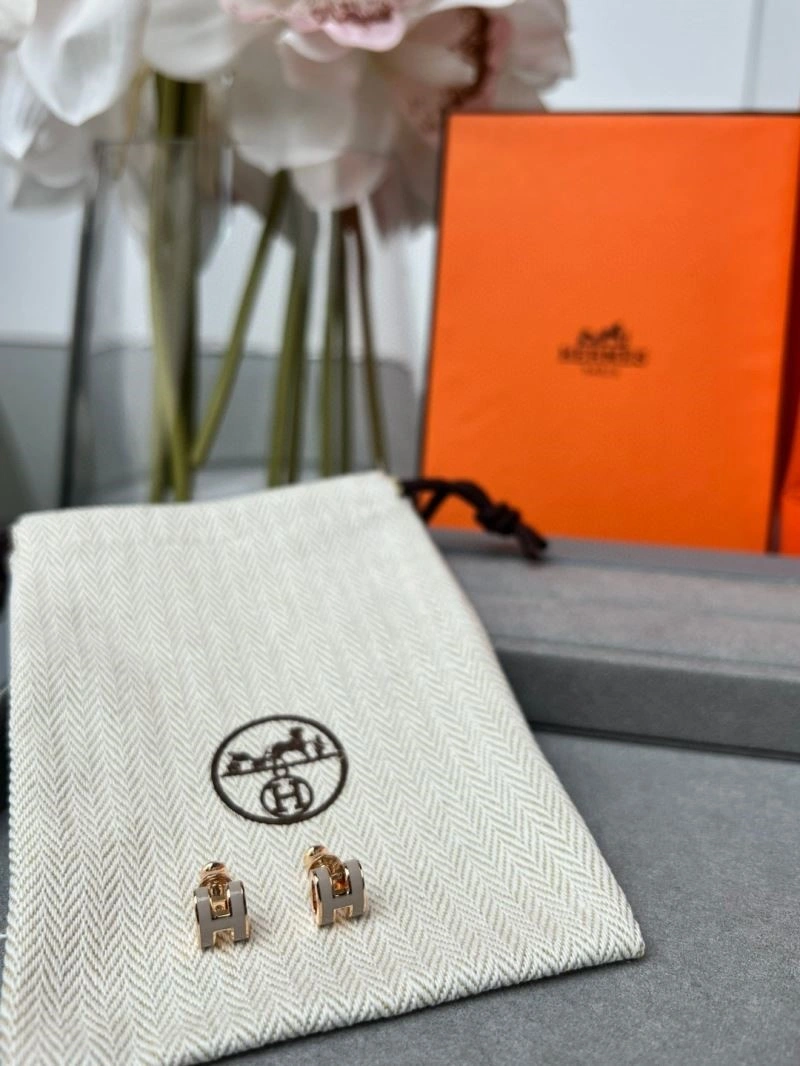 SunProtective Hermes Earrings 246915