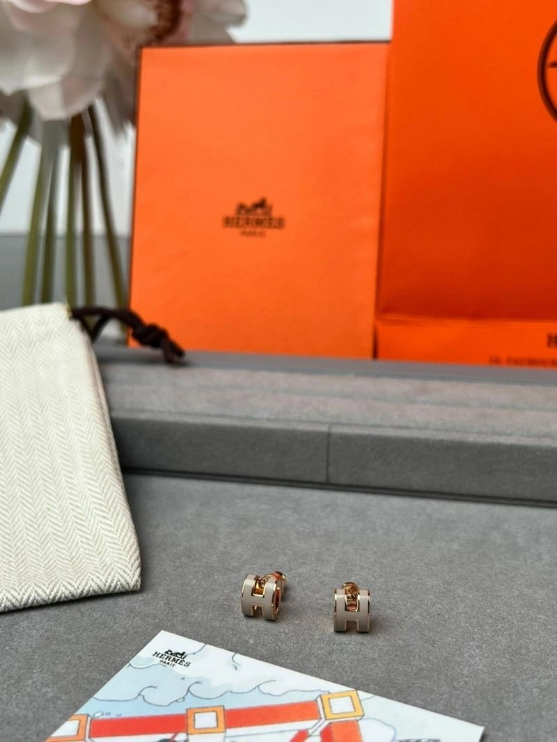 SunProtective Hermes Earrings 246915