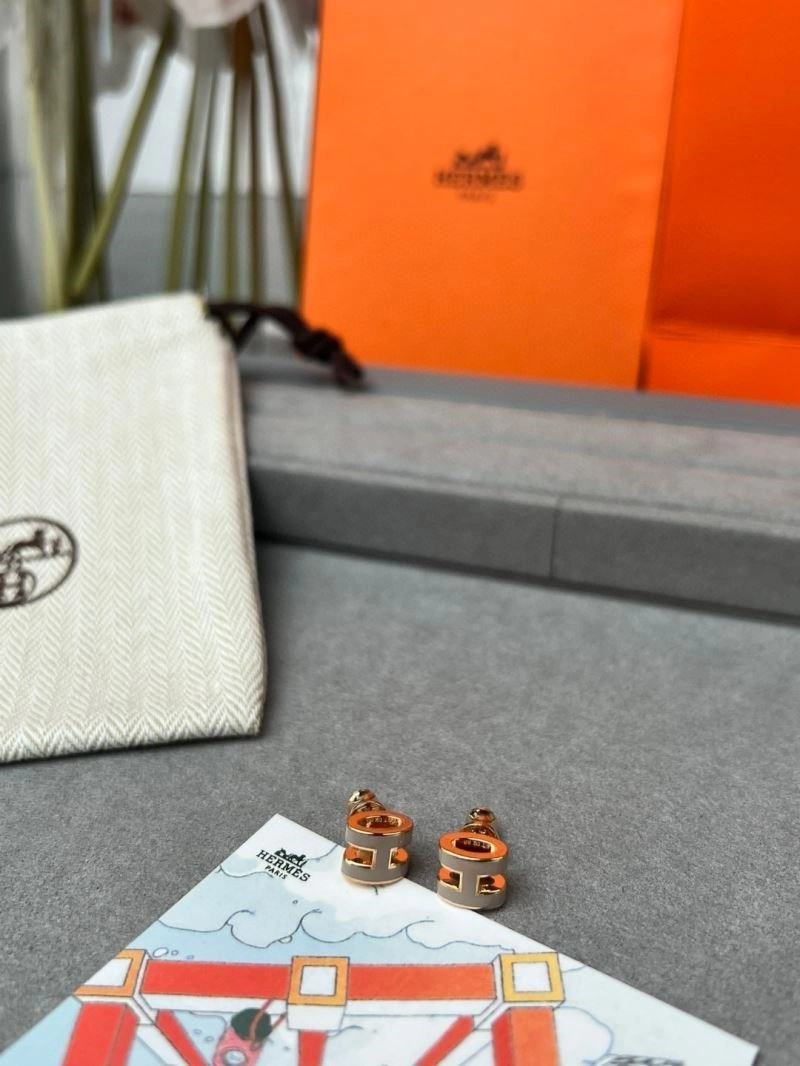 SunProtective Hermes Earrings 246915