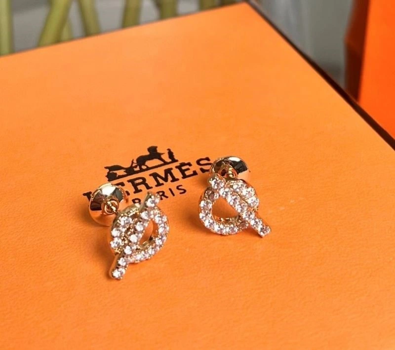 MultiPurpose Hermes Earrings 246923