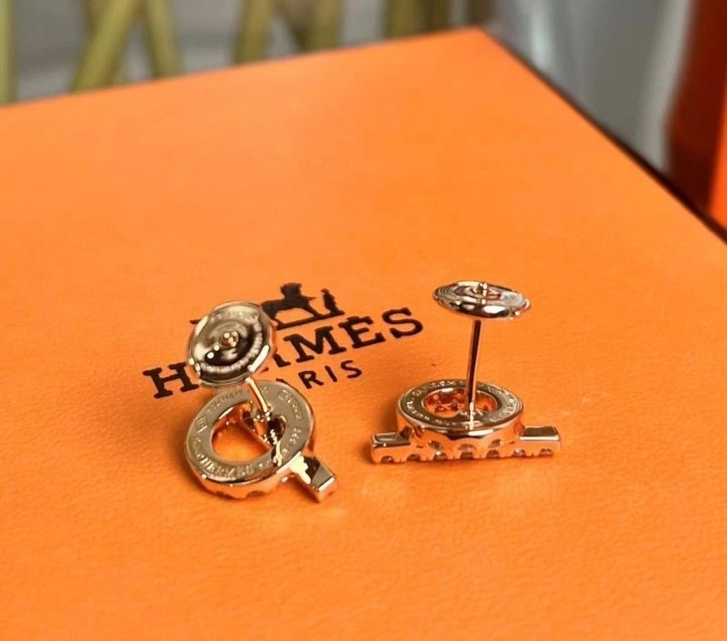 MultiPurpose Hermes Earrings 246923