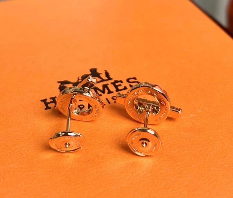 MultiPurpose Hermes Earrings 246923