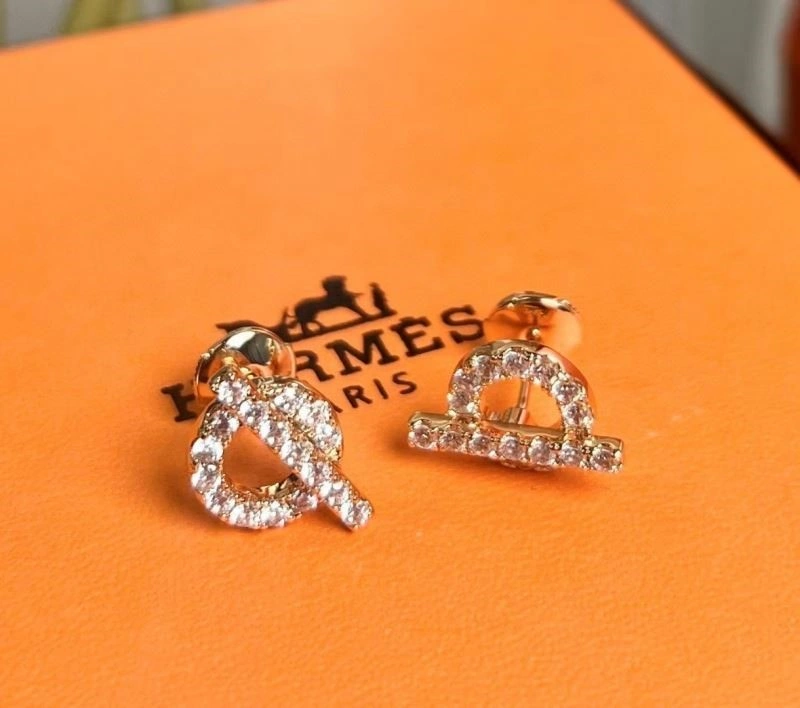 MultiPurpose Hermes Earrings 246923