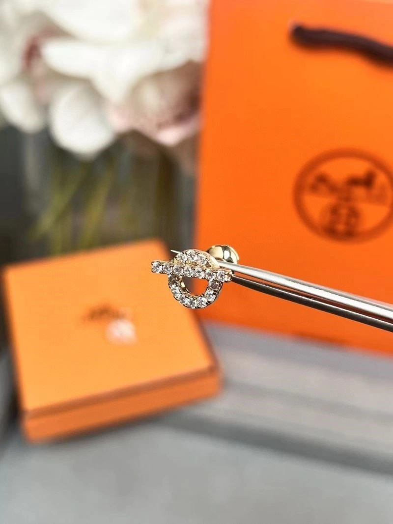 MultiPurpose Hermes Earrings 246923