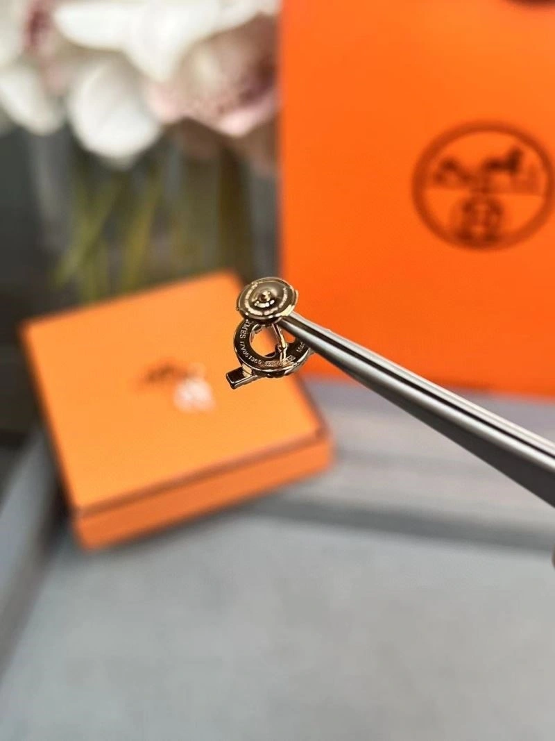 MultiPurpose Hermes Earrings 246923