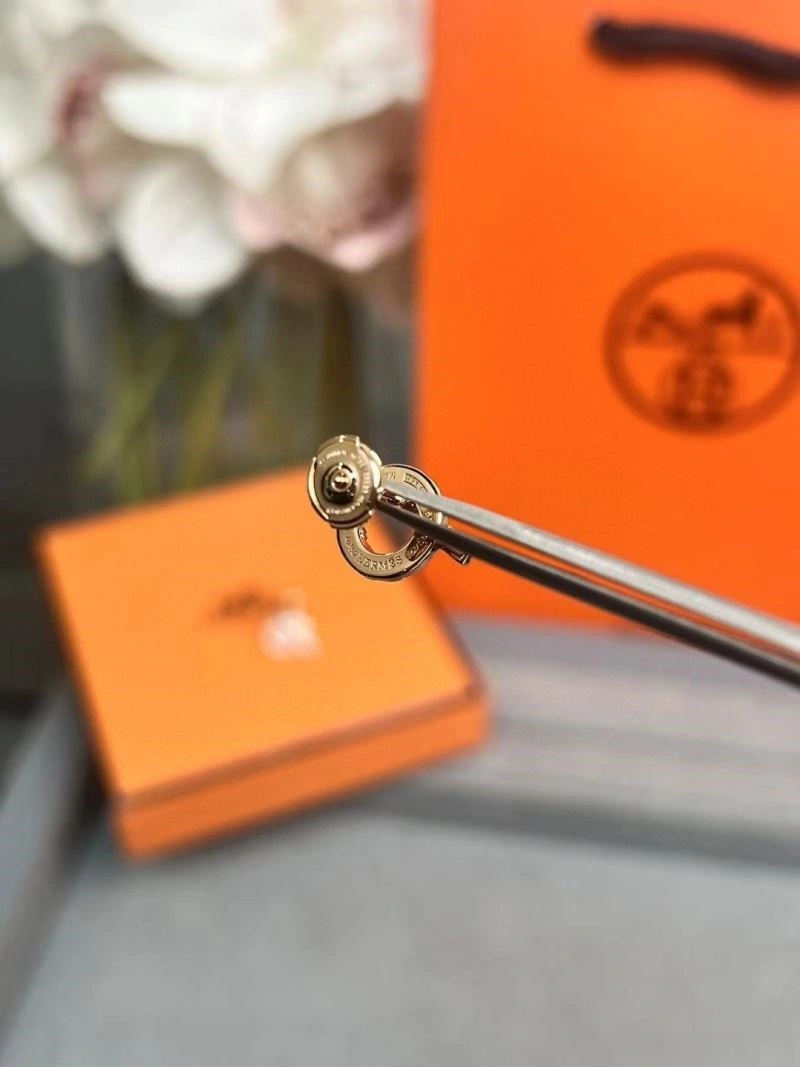 MultiPurpose Hermes Earrings 246923