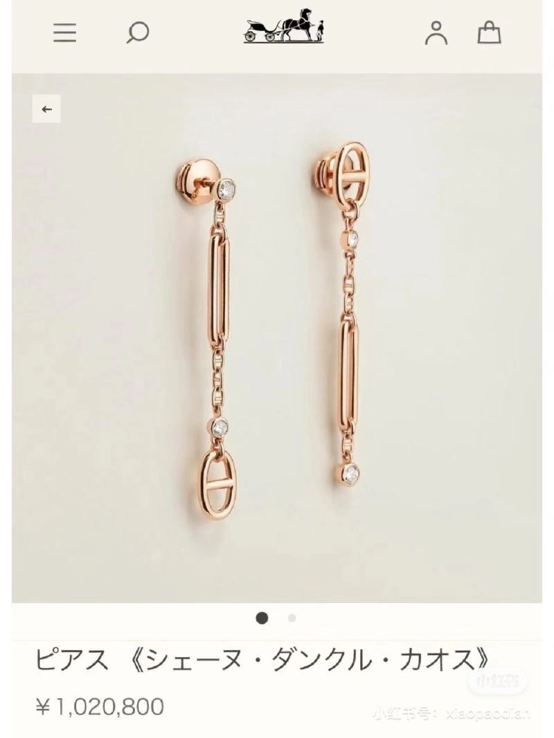 RelaxedFit Hermes Earrings 246911