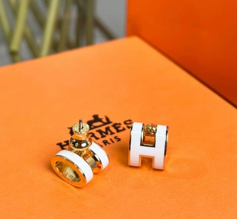 Trendy Hermes Earrings 246910