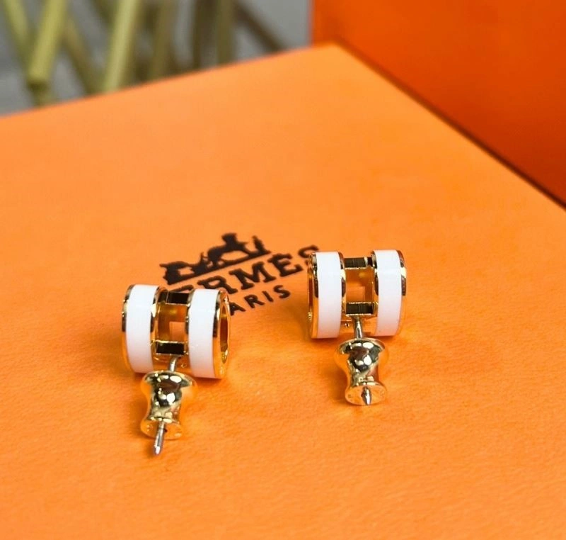 Trendy Hermes Earrings 246910
