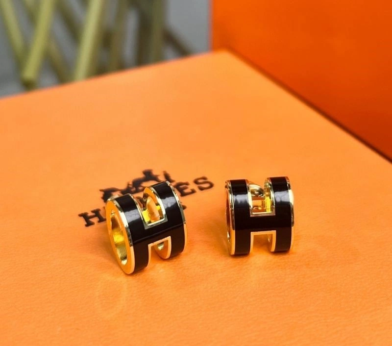 Hermes Earrings EasyCare 246909