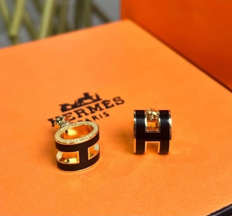 Hermes Earrings EasyCare 246909