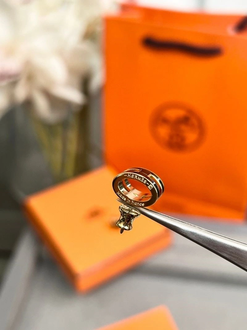 Hermes Earrings EasyCare 246909