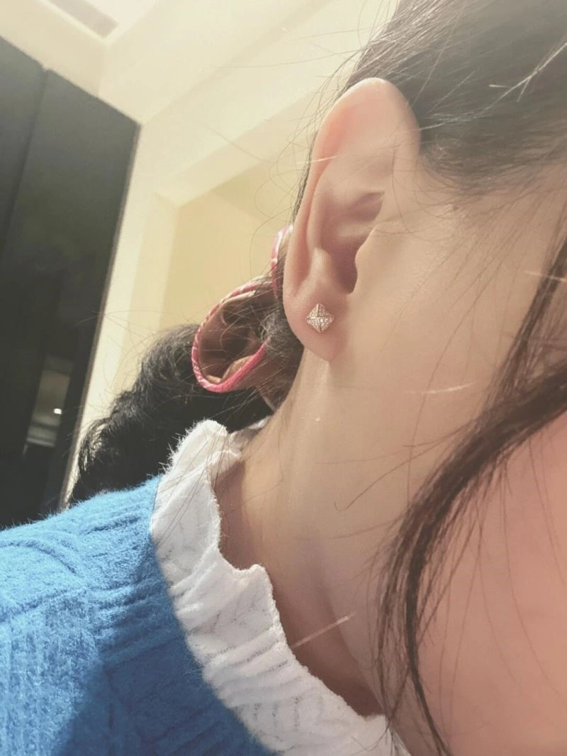 Hermes Earrings WrinkleFree 246906