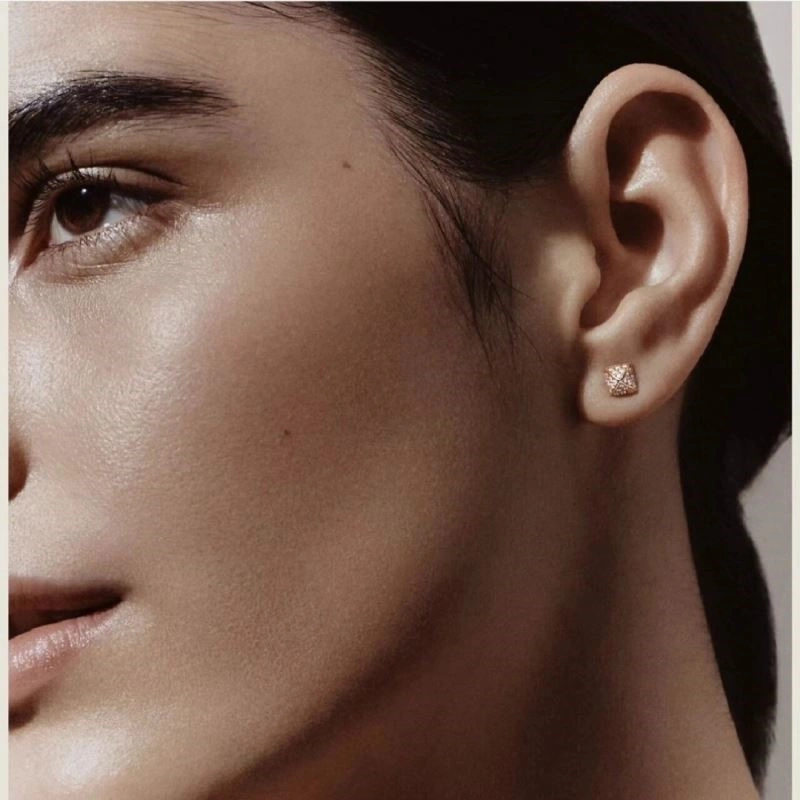 Hermes Earrings WrinkleFree 246906